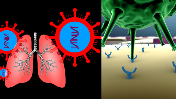 How Corona Virus Vaccine Works