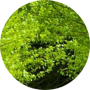 freelancers-in-India-Data-Entry-Chennai-Reka-Rajendren