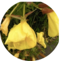 freelancers-in-India-Writing-New-Delhi-Prerna-Verma