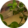 freelancers-in-India-Copy-Typing-Chennai-Ajmel-ali