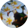 freelancers-in-India-Data-Visualization-sivagankai-kalaivani