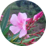 freelancers-in-India-Typing-Namakkal-Vidhya-