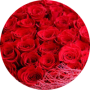 freelancers-in-India-Software-Development-Lahore-Zulfiqar-Ahmed