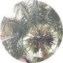 freelancers-in-India-Copy-Typing-Salem-Abhirami