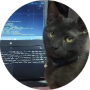 freelancers-in-India-JAVA-6306-Söll-Petrica-Laurentiu-Terhes