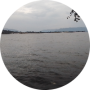 freelancers-in-India-Freelancer-API-Kisumu-Michael-Otieno