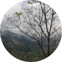 freelancers-in-India-Typing-Kodaikanal-Karuppu-samy-R
