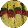 freelancers-in-India-Copy-Typing-Coimbatore-MADHEENA-BAGAM