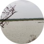 freelancers-in-India-Python-Bangalore-Gitika-