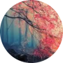 freelancers-in-India-Freelancer-API-Gurgaon-Bharti-Kaushik