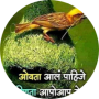 freelancers-in-India-Typing-belgaum-sujal-more