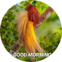 freelancers-in-India-Copy-Typing-Nagercoil,-Kulasekharam-Nishanthi-P