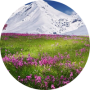 freelancers-in-India-React.js-Beaverton/portland-Umamaheswari