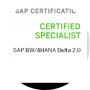 freelancers-in-India-SAP-Hyderabad-Satya-Kumar