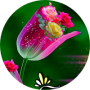 freelancers-in-India-Tailor-/-Fashion-Designers-Pacode-Ramya-Suresh