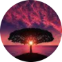 freelancers-in-India-Typing-Salem-Sandhya