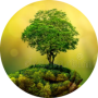 freelancers-in-India-Typing-Chennai-SUBHA