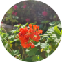 freelancers-in-India-Content-Writing-Bangalore-Chandrika