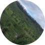 freelancers-in-India-User-Interface-/-IA-Thirupathur-ThanujaSree
