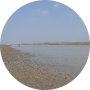 freelancers-in-India-Content-Writing-NALHATI-EJAJUL-ALI