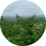 freelancers-in-India-Translation-Osmanabad-Dikshant-Mote-