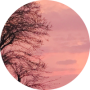 freelancers-in-India-Academic-Writing-Jaipur-preeti-yadav