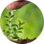 freelancers-in-India-Typing-Hyderabad-Vineetha-Beeravalli