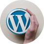 freelancers-in-India-WordPress-Rahim-Yar-Kahn-Shah-wali