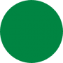 freelancers-in-India-Medical-Writing-Lahore-Fatima-Nasir