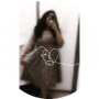 freelancers-in-India-Freelancer-API-Hyderabad-Sneha-guthikonda-