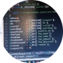 freelancers-in-India-Web-Development-Pakistan-Punjab-bahawal-nager-Muzamil-tasawer-