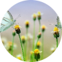 freelancers-in-India-Data-Entry-Brahmmanbaria-Tanjila-Akter