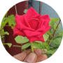 freelancers-in-India-Data-Entry-Chennai-Keerthana-M
