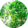freelancers-in-India-Data-Entry-Vellore-vara-prasad