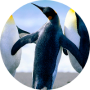 freelancers-in-India-Data-Entry-TIRUPUR-preethikka