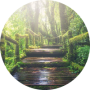 freelancers-in-India-Data-entry-Koppa,Chikmagalur(D),Karnataka-Jabeena-KH