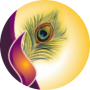 freelancers-in-India-Graphic-Design-Indore-Shyamsunder-Kanodiya