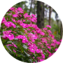 freelancers-in-India-Data-Entry-Tiruppur-Dharani-P