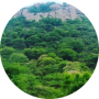 freelancers-in-India-Data-Entry-Palacode-Dharumapuri-dist-Kashifa