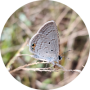 freelancers-in-India-Data-Entry-Chennai-R-Hemalatha