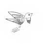 freelancers-in-India-Editing-Akodia-Govind-Goswami