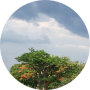 freelancers-in-India-Database-Development-Puducherry-Mohanapriya-