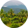 freelancers-in-India-Data-Entry-Dindigul-Berkmans