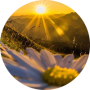 freelancers-in-India-Software-Development-Jharkhand-Suraj-prakash-