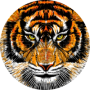 freelancers-in-India-Proofreading-tenkasi-karthick-samy