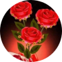 freelancers-in-India-Data-entry-Salem-Sankagiri-Rathika-