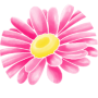 freelancers-in-India-Graphic-Design-Hyderabad-PARVEEN-SULTANA