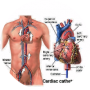 freelancers-in-India-Medical-Writing-Dharmapuri-Jai-priya
