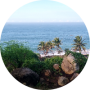 freelancers-in-India-Data-Entry-SRIVILLIPUTHUR-Merlin-Ruby-M