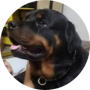 freelancers-in-India-Data-Entry-Bangalore-Sujatha-Sharma